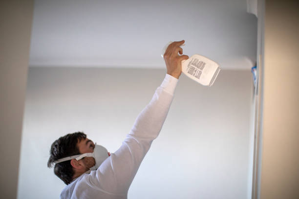 Best Best Mold Removal Companies  in Kamiah, ID
