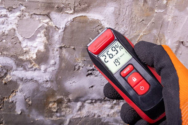 Home Mold Removal in Kamiah, ID