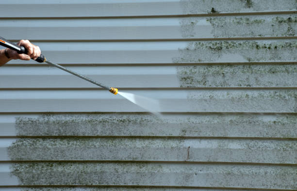 Best Attic Mold Removal  in Kamiah, ID