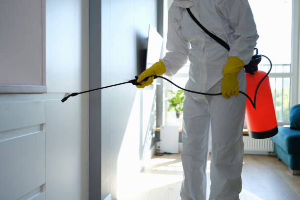 Best Home Mold Removal  in Kamiah, ID