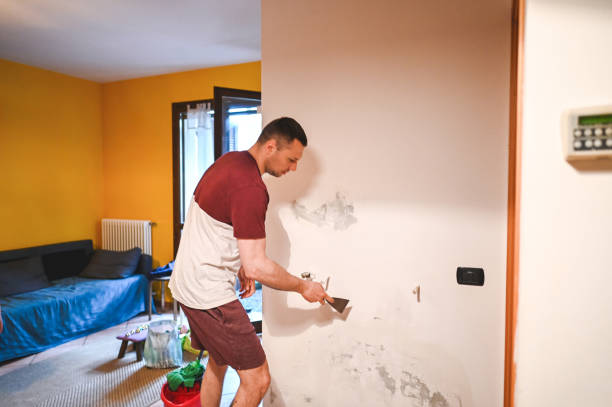 Best Black Mold Removal  in Kamiah, ID