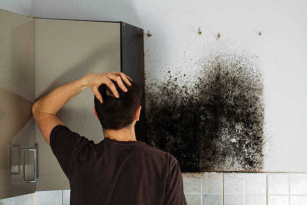 Best Mold Cleaning Services  in Kamiah, ID